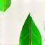 Green leaf icon